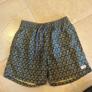 Quicksilver unlined swim trunks